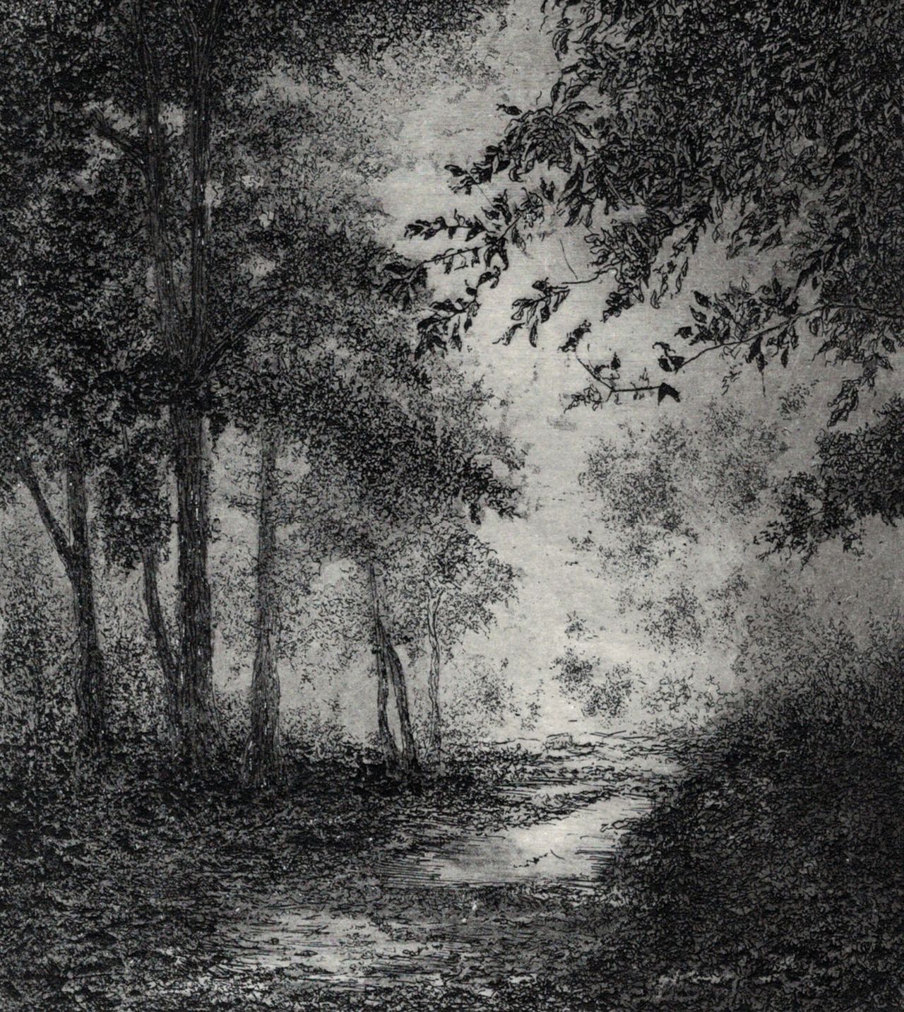 Etching and aquatint depicting a misty forest path.